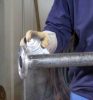 Weicon Hegesztésvédő spray - szilikonmentes - 400 ml